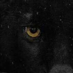 Meet your Posher, Brent